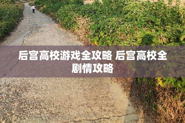 后宫高校游戏全攻略 后宫高校全剧情攻略