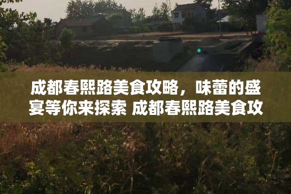 成都春熙路美食攻略，味蕾的盛宴等你来探索 成都春熙路美食攻略