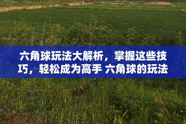 六角球玩法大解析，掌握这些技巧，轻松成为高手 六角球的玩法