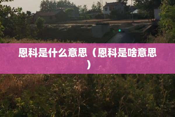 恩科是什么意思（恩科是啥意思）