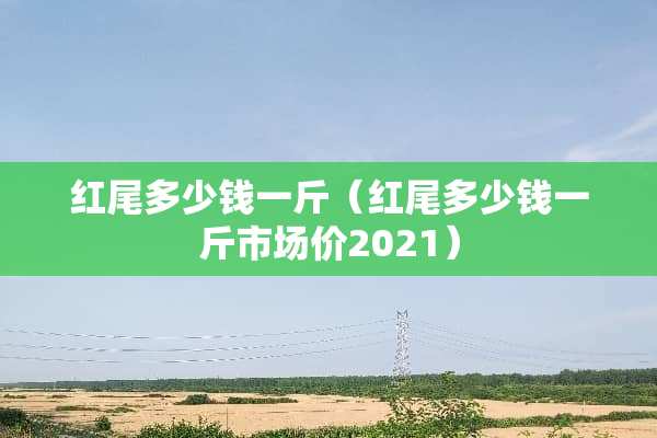 红尾多少钱一斤(红尾多少钱一斤市场价2021) 红尾多少钱一斤(红尾多少钱一斤市场价2021)