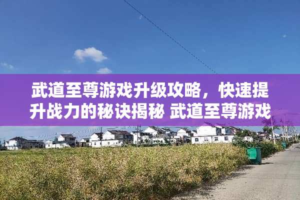 武道至尊游戏升级攻略，快速提升战力的秘诀揭秘 武道至尊游戏升级攻略