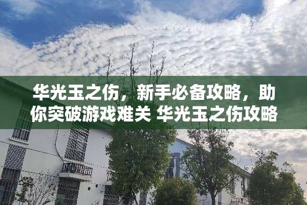 华光玉之伤，新手必备攻略，助你突破游戏难关 华光玉之伤攻略