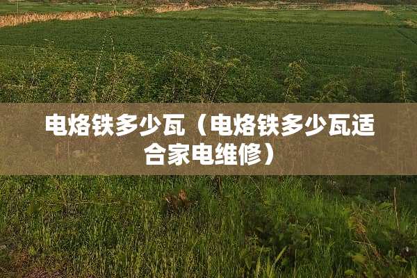 电烙铁多少瓦（电烙铁多少瓦适合家电维修）