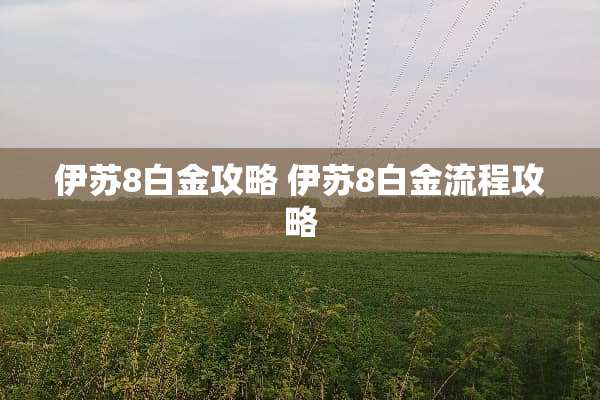 伊苏8白金攻略 伊苏8白金流程攻略