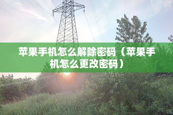 苹果手机怎么解除密码（苹果手机怎么更改密码）