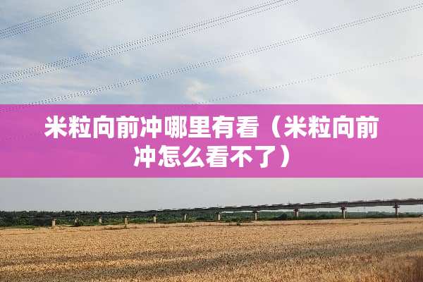 米粒向前冲哪里有看（米粒向前冲怎么看不了）