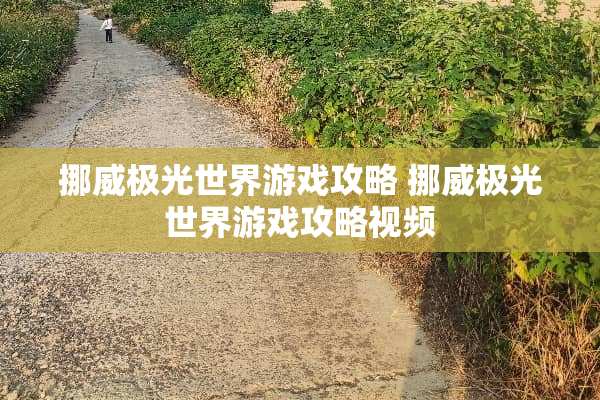 挪威极光世界游戏攻略 挪威极光世界游戏攻略视频