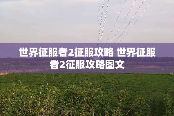 世界***2征服攻略 世界***2征服攻略图文
