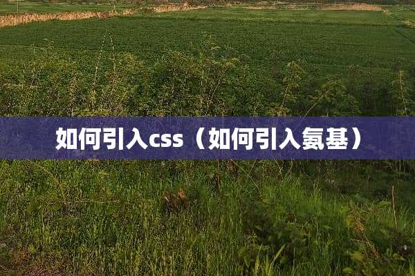 如何引入css（如何引入氨基）