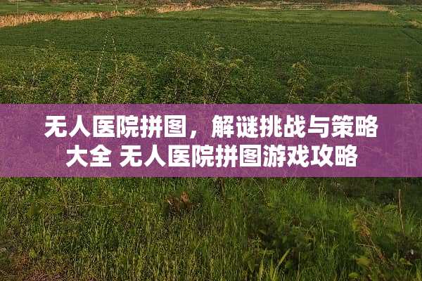 无人医院拼图，解谜挑战与策略大全 无人医院拼图游戏攻略