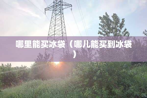 哪里能买冰袋（哪儿能买到冰袋）