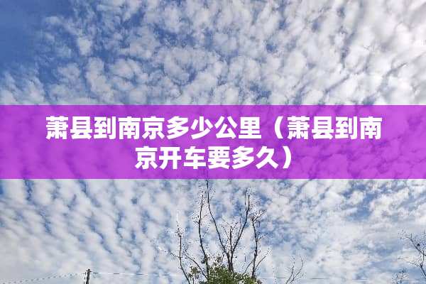萧县到南京多少公里（萧县到南京开车要多久）