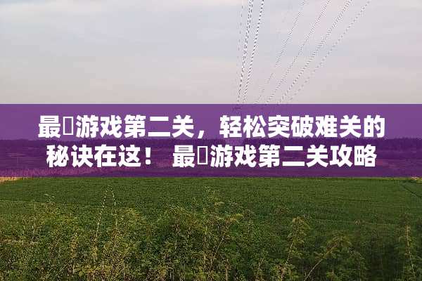 最囧游戏第二关，轻松突破难关的秘诀在这！ 最囧游戏第二关攻略