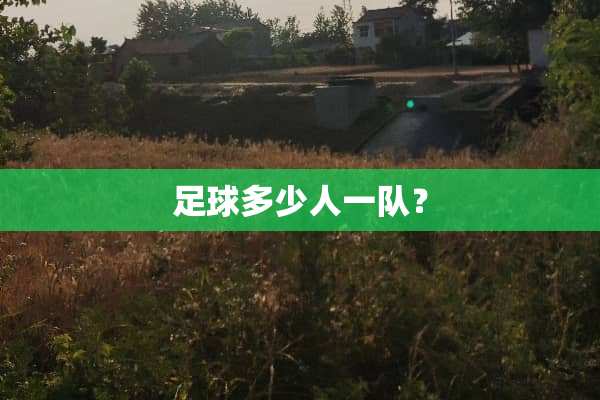 **多少人一队？