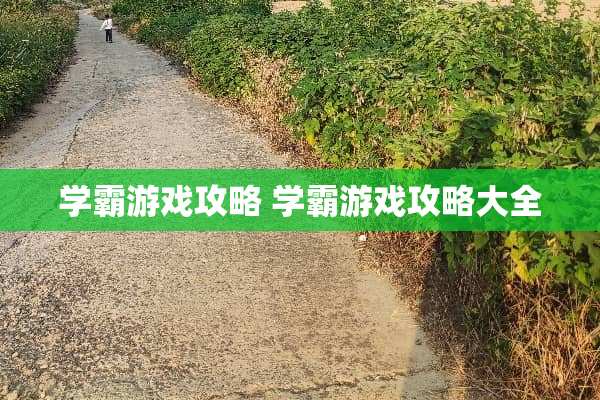 学霸游戏攻略 学霸游戏攻略大全