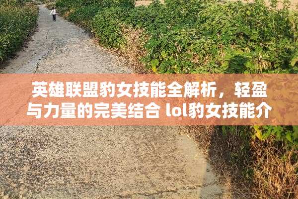 英雄联盟豹女技能全解析，轻盈与力量的完美结合 lol豹女技能介绍