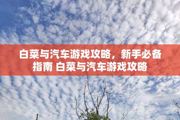 白菜与汽车游戏攻略，新手必备指南 白菜与汽车游戏攻略