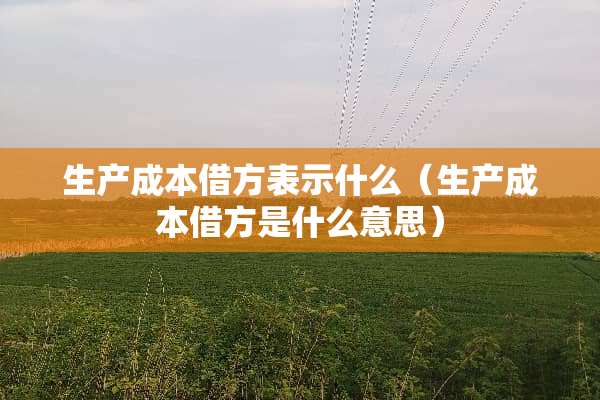 生产成本借方表示什么（生产成本借方是什么意思）