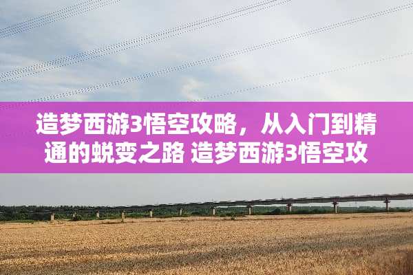造梦西游3悟空攻略，从入门到精通的蜕变之路 造梦西游3悟空攻略