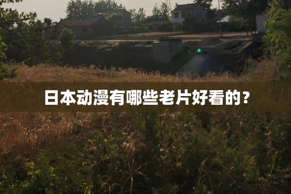 日本动漫有哪些老片好看的？
