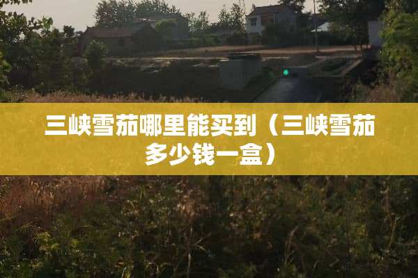 三峡雪茄哪里能买到（三峡雪茄多少钱一盒）