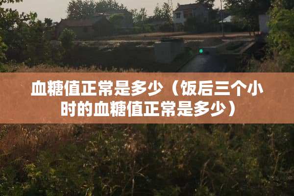 血糖值正常是多少（饭后三个小时的血糖值正常是多少）