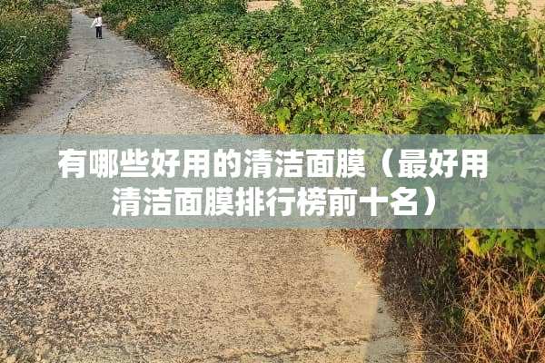 有哪些好用的清洁面膜（最好用清洁面膜排行榜前十名）
