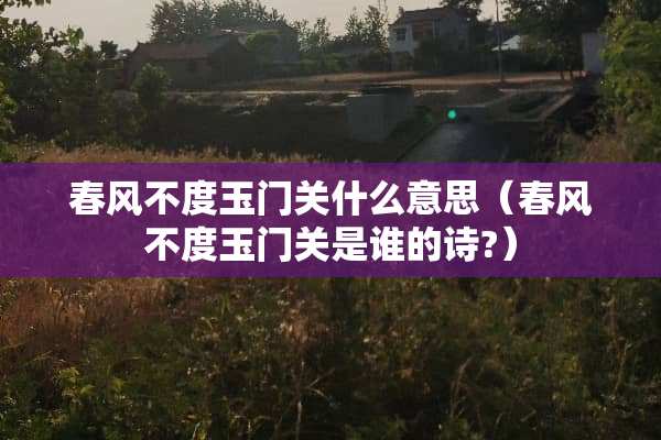 春风不度玉门关什么意思（春风不度玉门关是谁的诗?）
