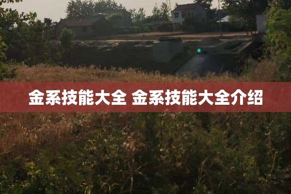 金系技能大全 金系技能大全介绍