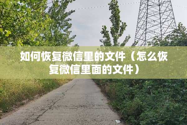 如何恢复微信里的文件（怎么恢复微信里面的文件）