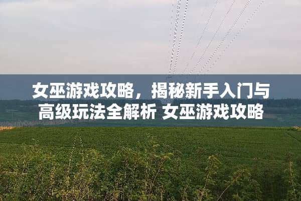 女巫游戏攻略，揭秘新手入门与高级玩法全解析 女巫游戏攻略