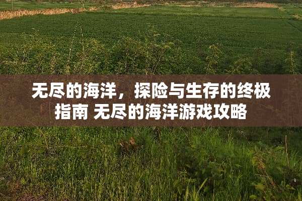 无尽的海洋，探险与生存的终极指南 无尽的海洋游戏攻略