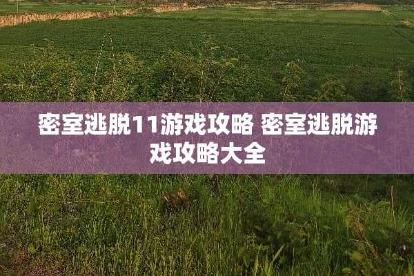 密室逃脱11游戏攻略 密室逃脱游戏攻略大全