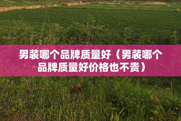 男装哪个品牌质量好（男装哪个品牌质量好价格也不贵）
