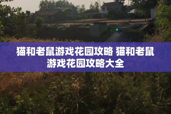 猫和老鼠游戏花园攻略 猫和老鼠游戏花园攻略大全