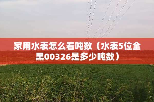 家用水表怎么看吨数（水表5位全黑00326是多少吨数）
