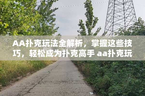 AA**玩法全解析，掌握这些技巧，轻松成为**高手 aa**玩法