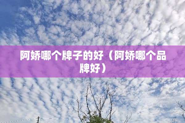 阿娇哪个牌子的好（阿娇哪个品牌好）