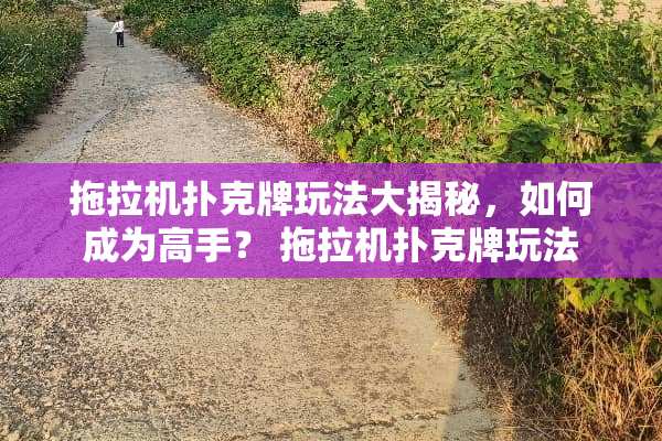 拖拉机**牌玩法大揭秘，如何成为高手？ 拖拉机**牌玩法