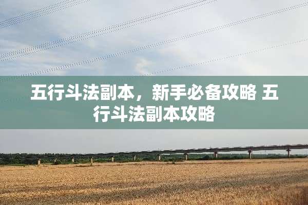 五行斗法副本，新手必备攻略 五行斗法副本攻略