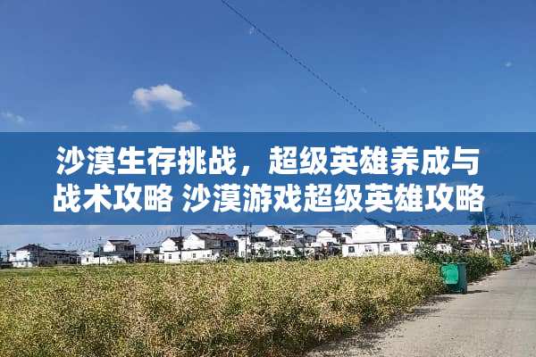 沙漠生存挑战，超级英雄养成与战术攻略 沙漠游戏超级英雄攻略