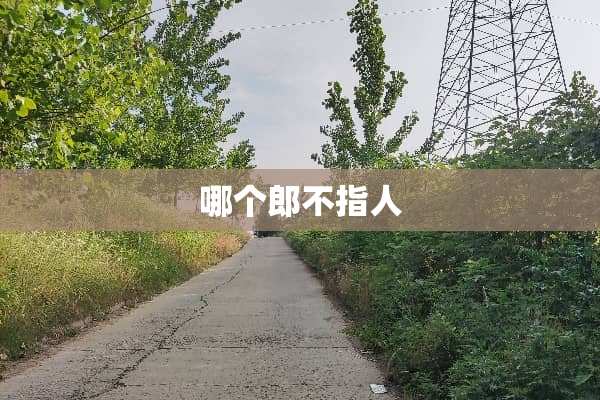哪个郎不指人