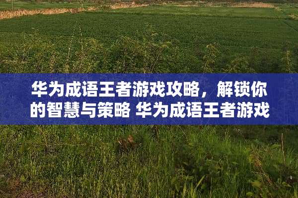 华为成语王者游戏攻略，解锁你的智慧与策略 华为成语王者游戏攻略