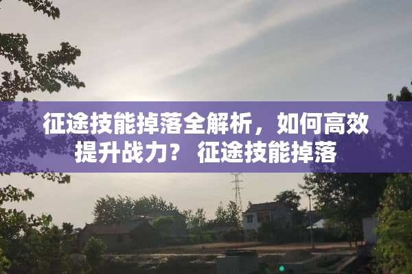 **技能掉落全解析，如何高效提升战力？**技能掉落