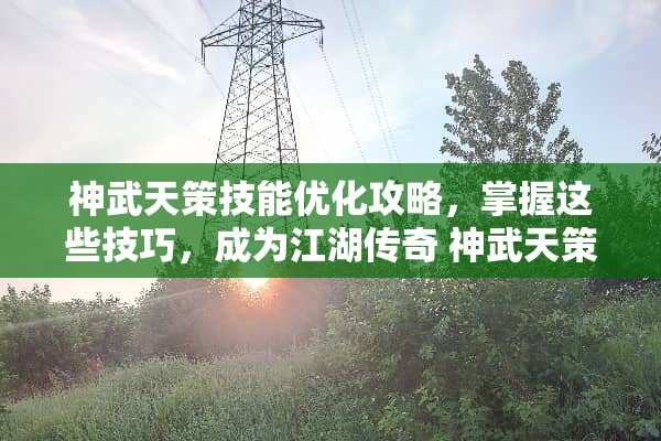 神武天策技能优化攻略，掌握这些技巧，成为江湖传奇 神武天策技能