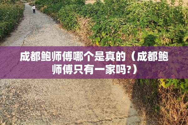 成都鲍师傅哪个是真的（成都鲍师傅只有一家吗?）
