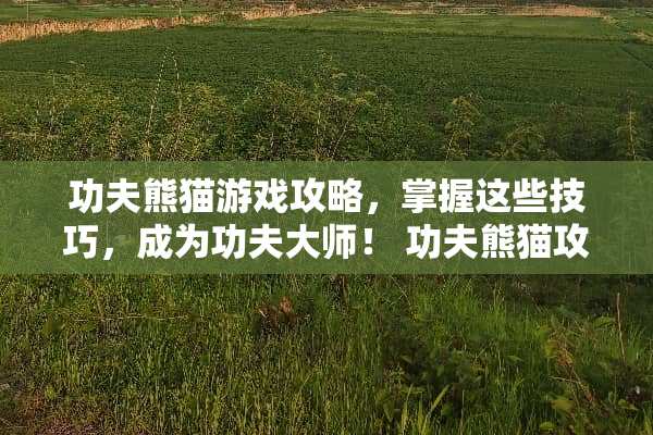 功夫熊猫游戏攻略，掌握这些技巧，成为功夫大师！ 功夫熊猫攻略游戏