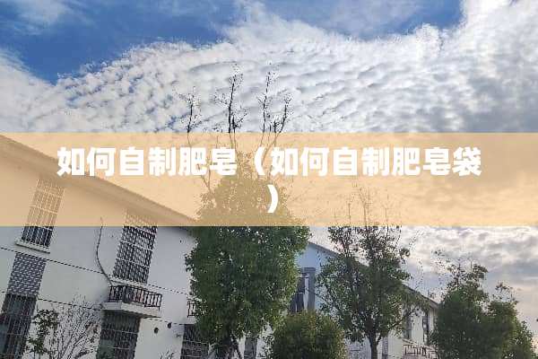 如何自制肥皂（如何自制肥皂袋）