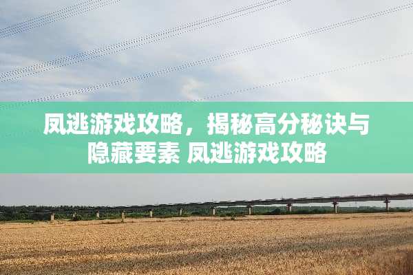 凤逃游戏攻略，揭秘高分秘诀与隐藏要素 凤逃游戏攻略